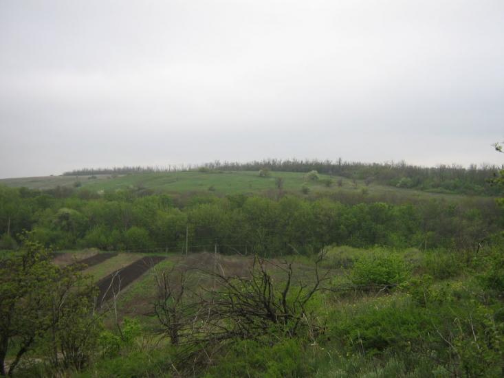 Червона Зоря з panoramio.com - Червоная Зоря