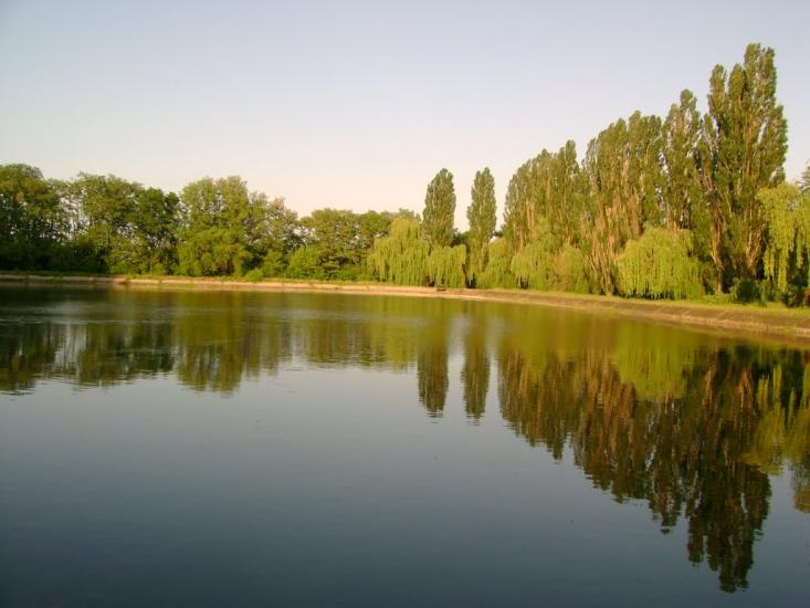 Василівське з panoramio.com - Василівське