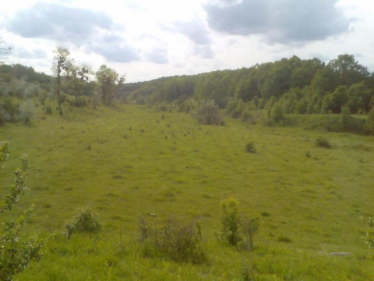 Блищанівка з panoramio.com - Блещановка