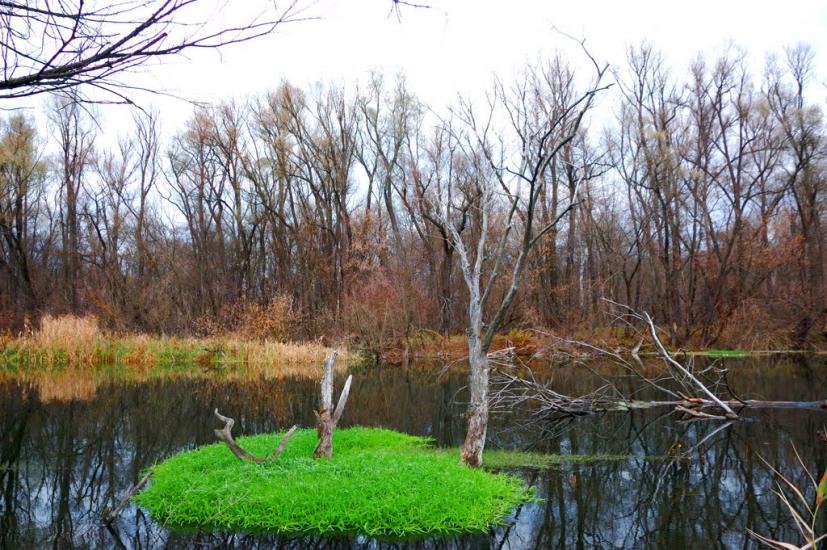 Маяки з panoramio.com - Маяки