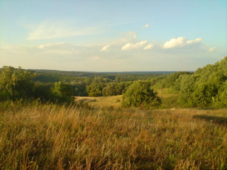 Кардашівка з panoramio.com - Кардашовка