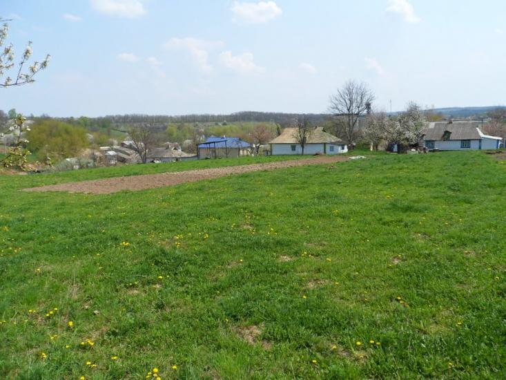 Мартинівка з panoramio.com - Мартыновка