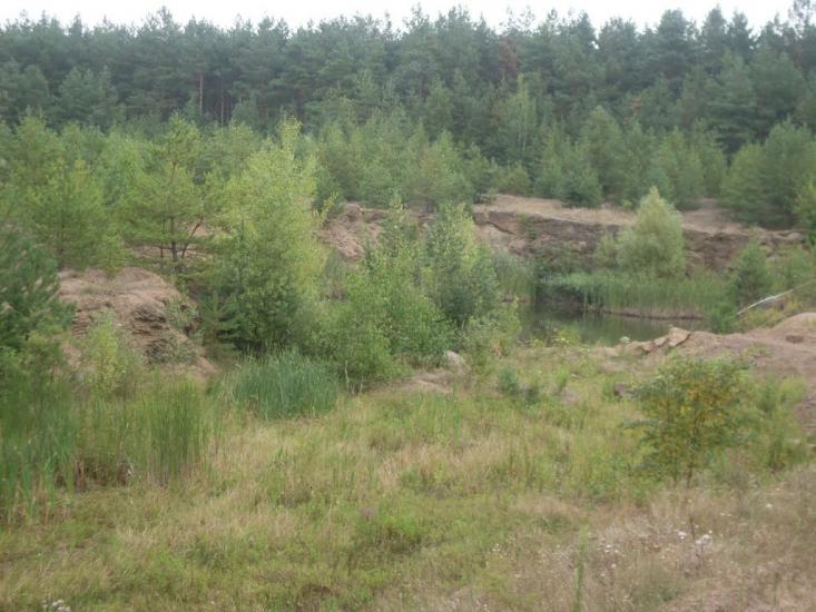 Гунча з panoramio.com - Гунча