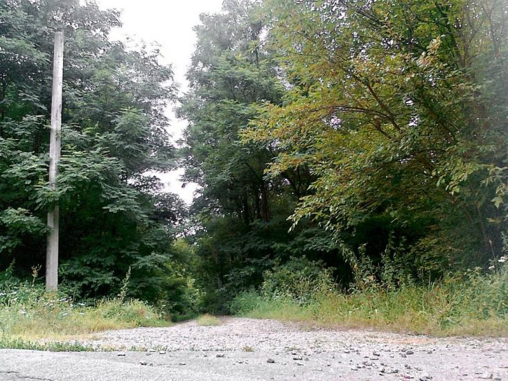 Подорожнє з panoramio.com - Подорожнє