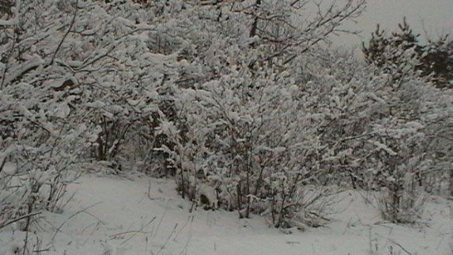 Тростянець з panoramio.com - Тростянец