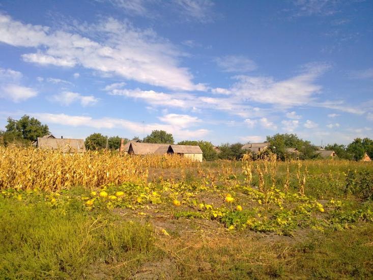 Олександрівка з panoramio.com - Олександрівка