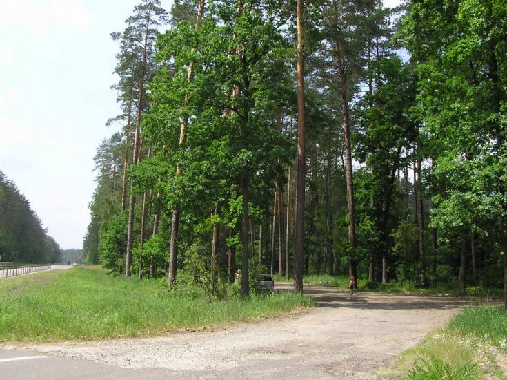 Пісківка з panoramio.com - Песковка