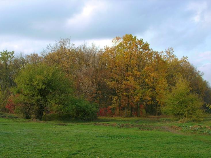 Христофорівка з panoramio.com - Христофоровка