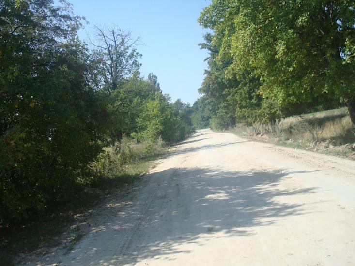 Ставчани з panoramio.com - Ставчаны