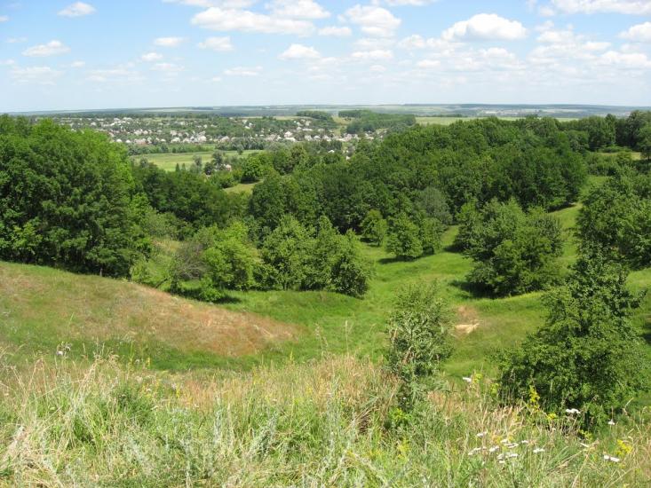 Вільшани з panoramio.com - Ольшаны