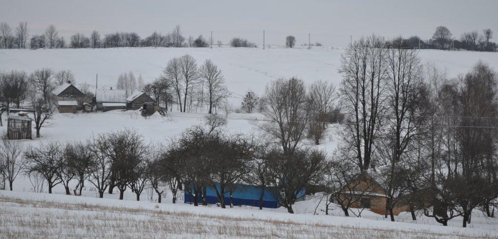 Заріцьк з panoramio.com - Зарецк