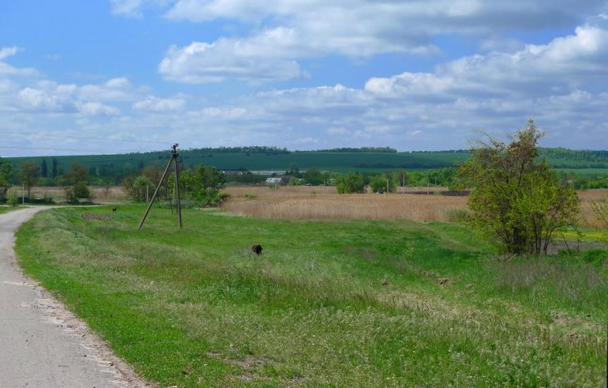 Дмитрівка з panoramio.com - Дмитровка