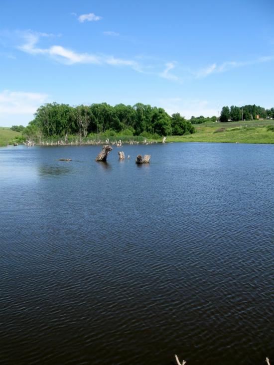 Стрілеча з panoramio.com - Стрілеча