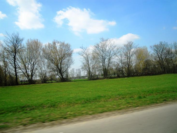 Сальниця з panoramio.com - Сальница
