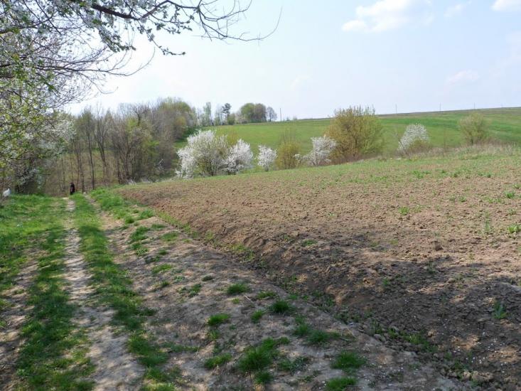 Мартинівка з panoramio.com - Мартыновка