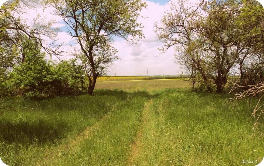 Дачне з panoramio.com - Дачне