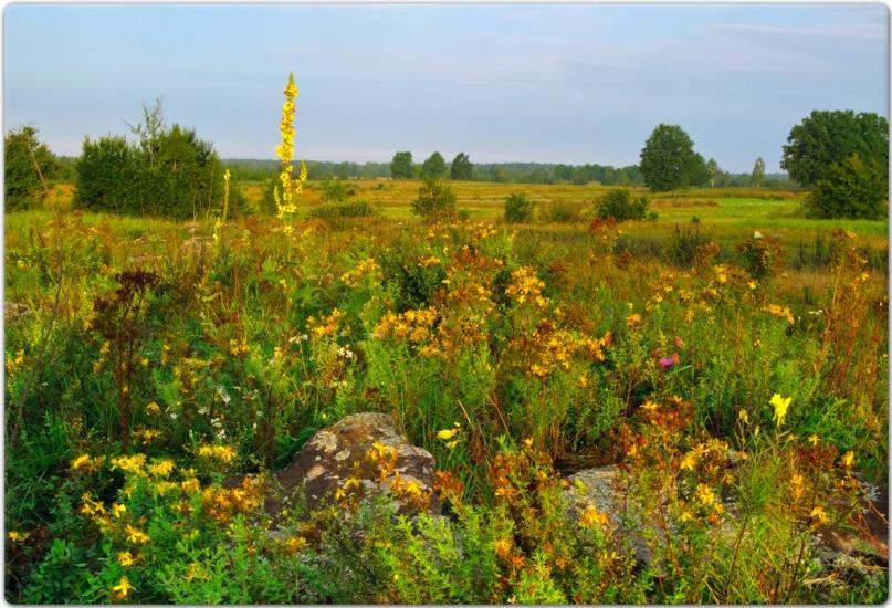 Тепениця з panoramio.com - Tepenytsya