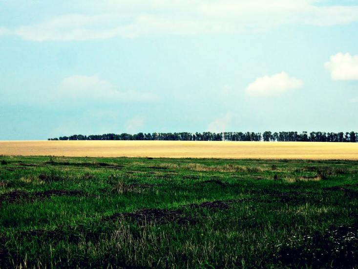 Стрілеча з panoramio.com - Стрілеча