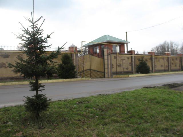 Ширяєве з panoramio.com - Ширяєве