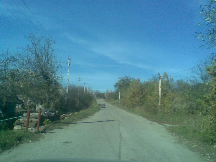 Лисогірка з panoramio.com - Лисогірка