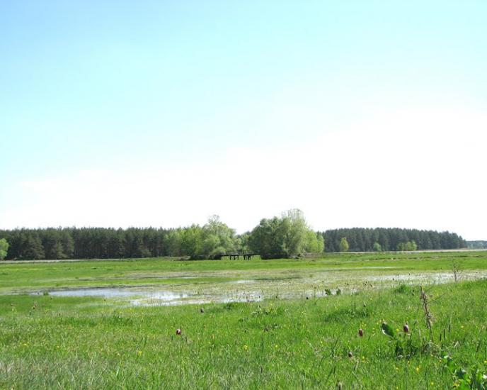 Балаклія з panoramio.com - Балаклея