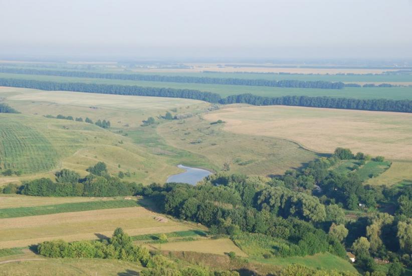 Тростинка з panoramio.com - Тростинка