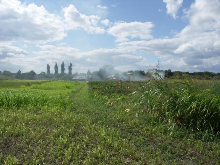 Дмитрівка з panoramio.com - Дмитровка