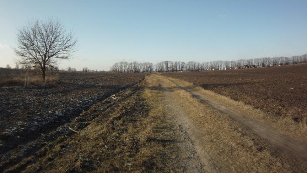 Гора з panoramio.com - Гора