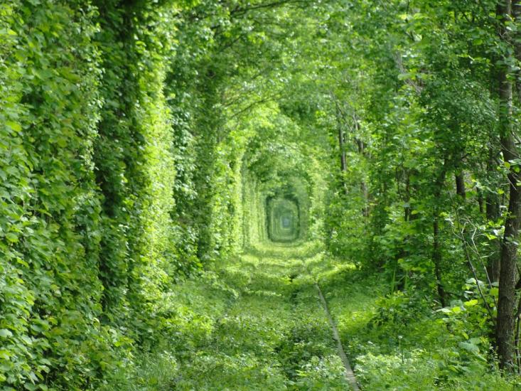 Клевань з panoramio.com - Klevan