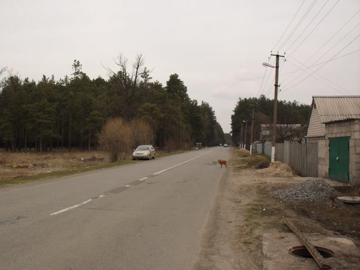 Клавдієво-Тарасове з panoramio.com - Клавдієво-Тарасове