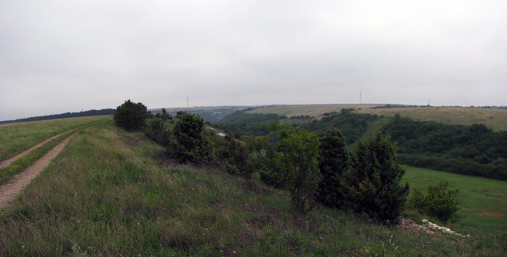 Глибокий Яр з panoramio.com - Глибокий Яр