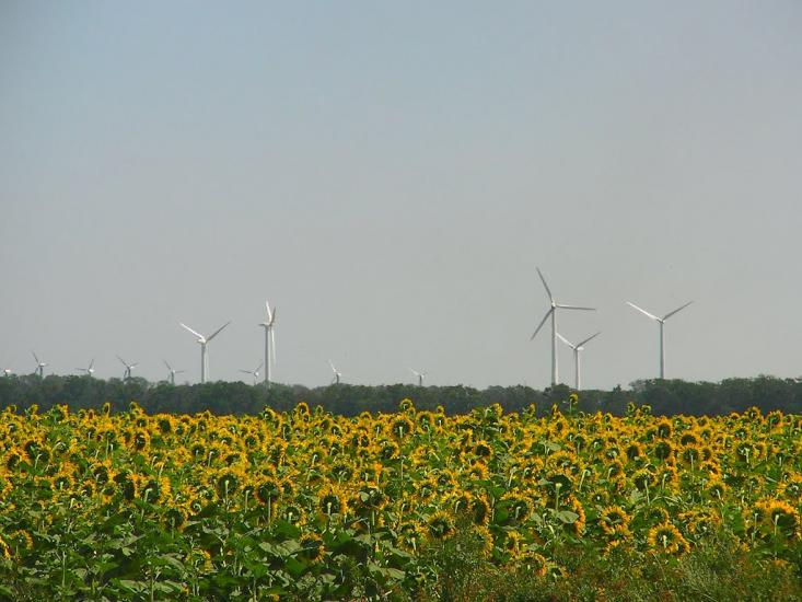 Саханка з panoramio.com - Саханка