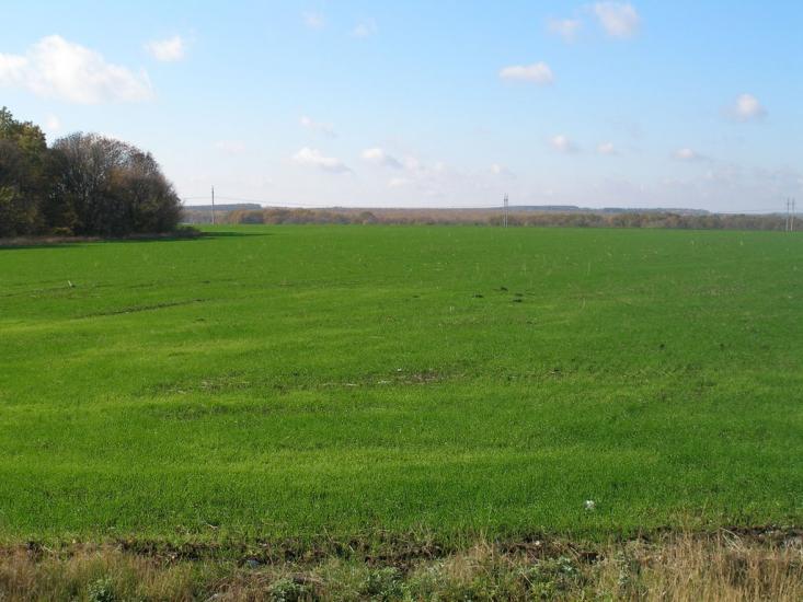 Мазанівка з panoramio.com - Мазанівка