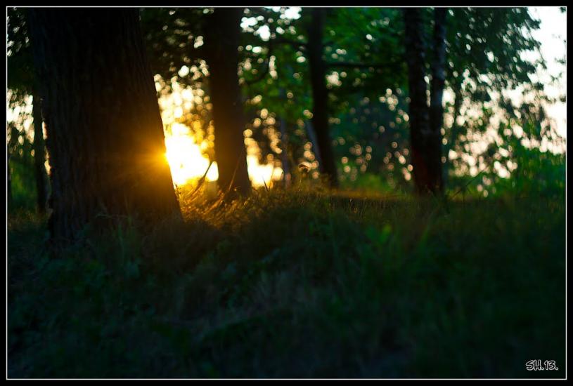 Колоденка з panoramio.com - Колоденка