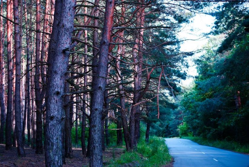 Проців з panoramio.com - Процев