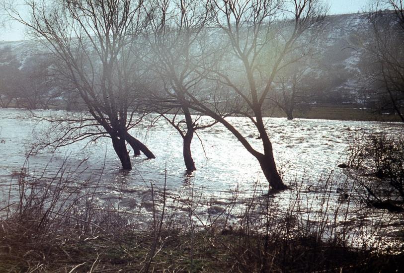 Салькове з panoramio.com - Сальково
