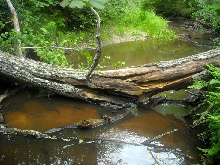 Тепениця з panoramio.com - Тепениця