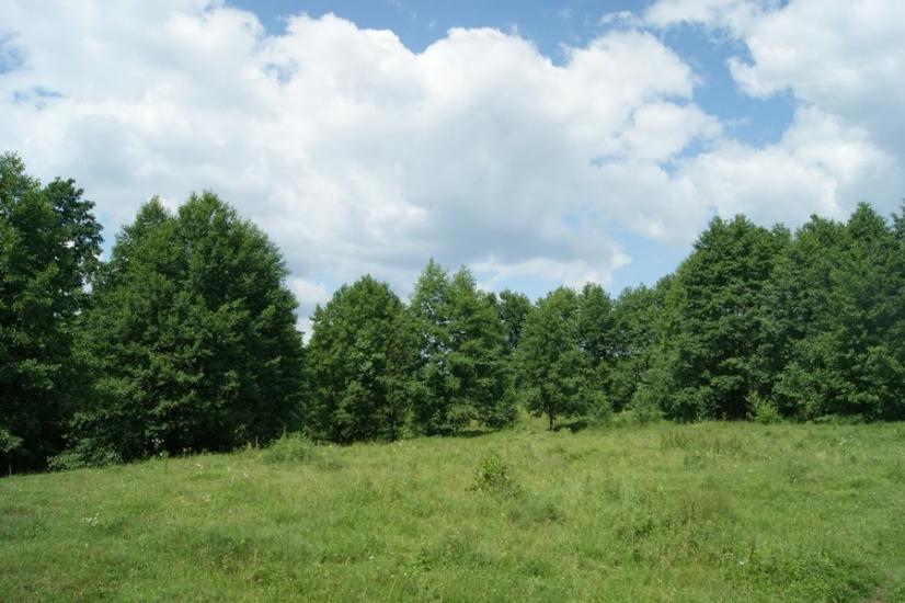 Велика Любаша з panoramio.com - Велика Любаша
