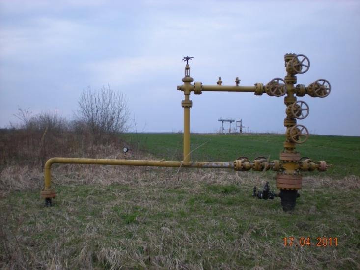 Ковиничі з panoramio.com - Ковиничі