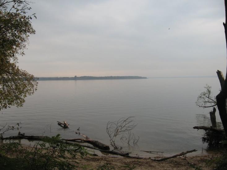 Зелений Гай з panoramio.com - Зеленый Гай