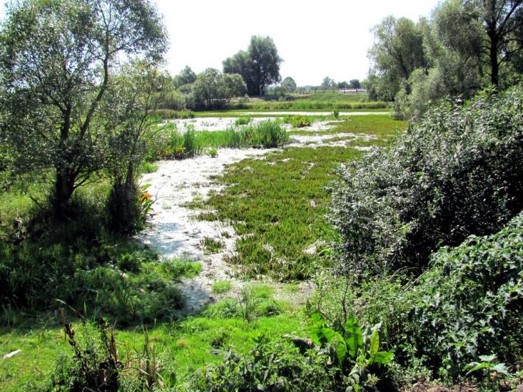 Мульчиці з panoramio.com - Мульчиці