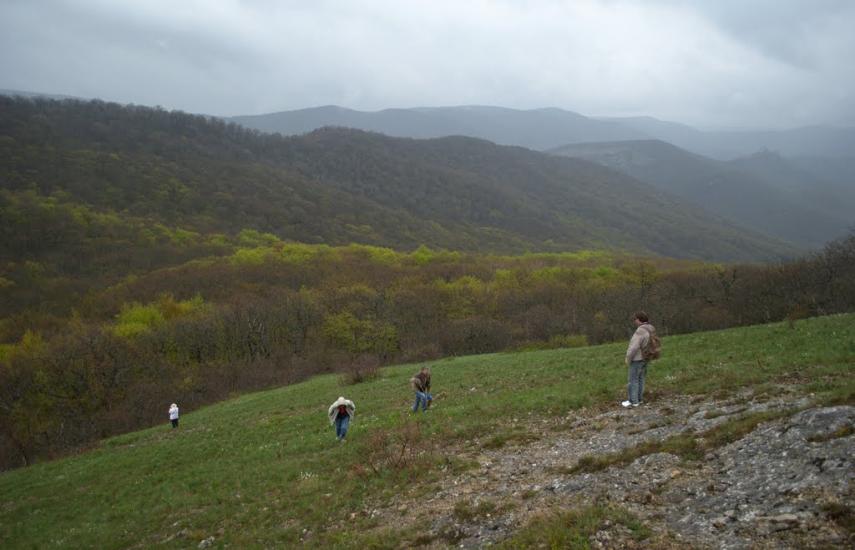 Лісне з panoramio.com - Лісне