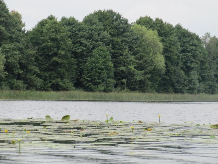 Мельники з panoramio.com - Мельники