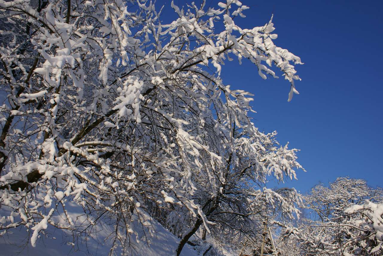 Виженка якою я ЇЇ бачу - Vyzhenka