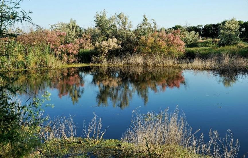 Маяки з panoramio.com - Маяки
