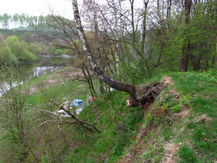 Думенки з panoramio.com - Думенки