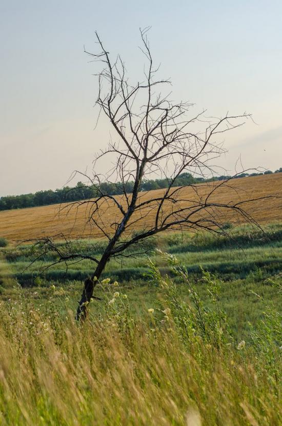 Пантаївка з panoramio.com - Pantayivka