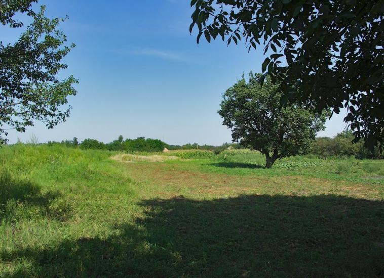 Дмитрівка з panoramio.com - Дмитрівка