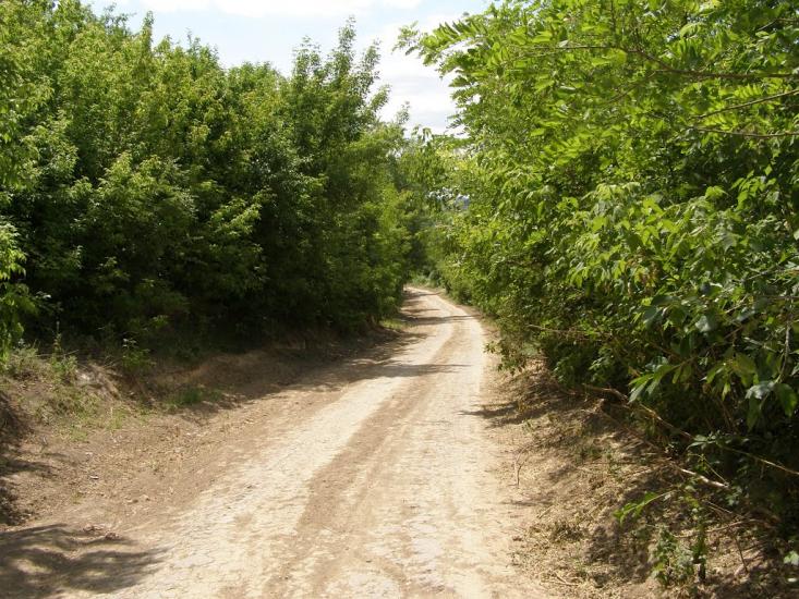 Сокиряни з panoramio.com - Сокиряни