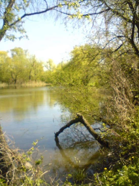 Вишняківка з panoramio.com - Вишняківка